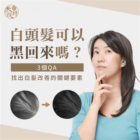 色白好 ptt|[心得] 染白髮產品的小小評比